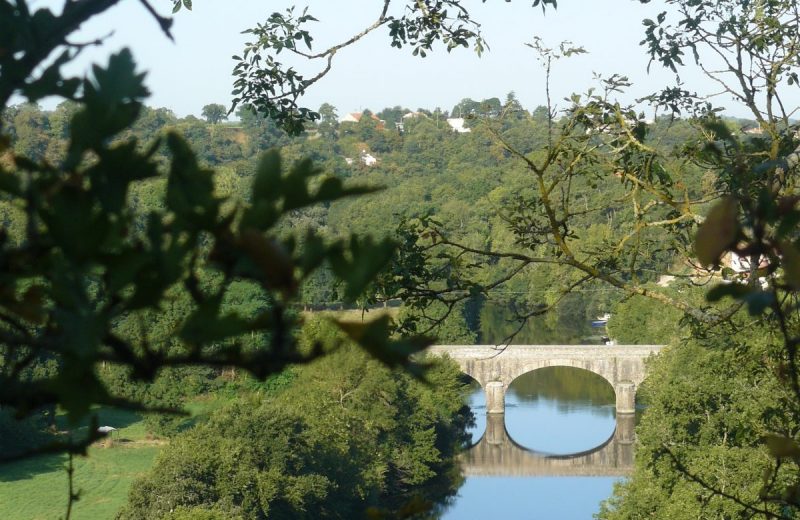 vue pont et sevre la haye fouassiere